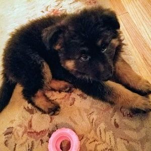 Meet your Posher, Kelly